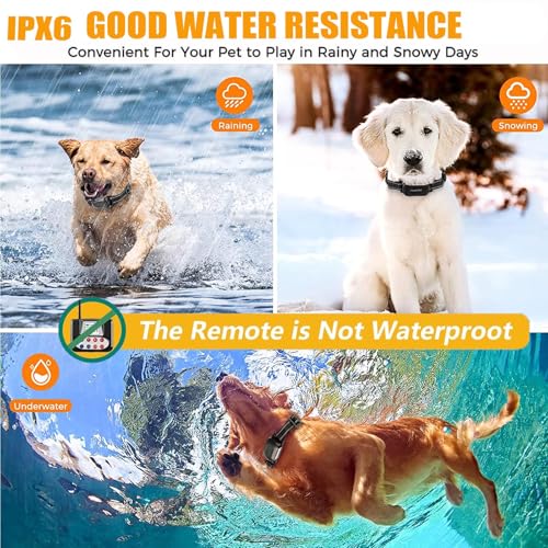 Training Tips with For4dogs Wireless Fence