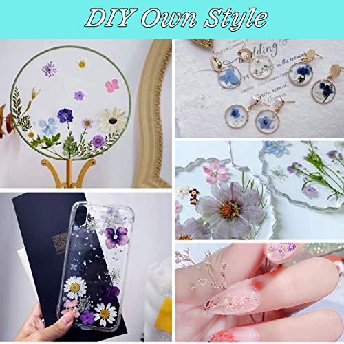 134 Stuks Echte Gedroogde Geperste Bloemen, Natuurlijke Bloemen Geperste Bloem Blad Voor DIY Hars Sieraden Maken Bloemen… - Afbeelding 5