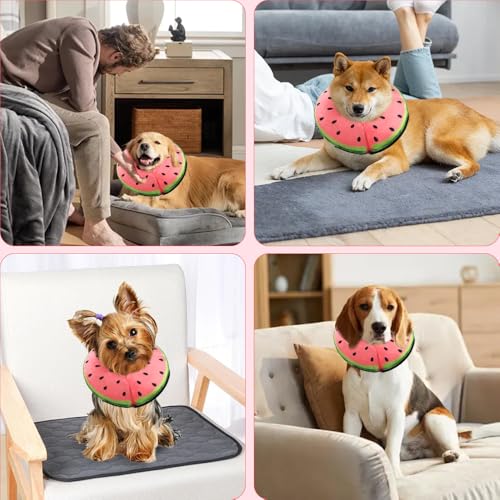HMCEY Aufblasbare Halskrause Hund,Hundekragen Leckschutz Weich,Schutzkragen Hunde Kragen Nach Op,Halskragen Hund mit Verstellbarer Schnalle,Inflatable Dog Collar für Genesung Nach Operationen - L