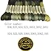 Premium Rainbow Color Embroidery Floss - Cross Stitch Threads - Friendship Bracelets Floss - Crafts Floss - 14 Skeins Per Pack Embroidery Floss, Light Moss Green,Gradient