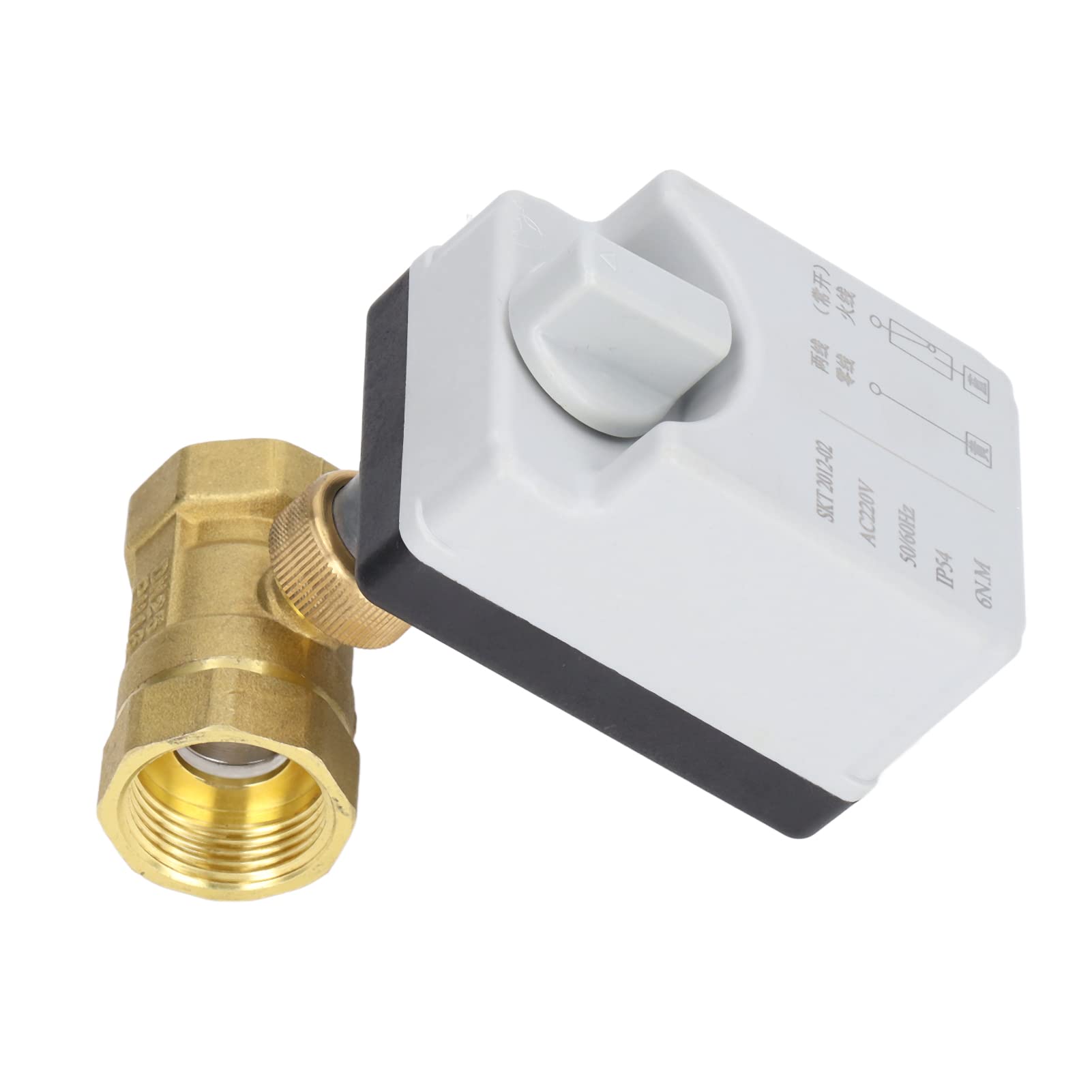 Válvula de Bola Motorizada de Latón DN25 2 Alambre 2 Vías Normalmente AC220V para el Control de Agua