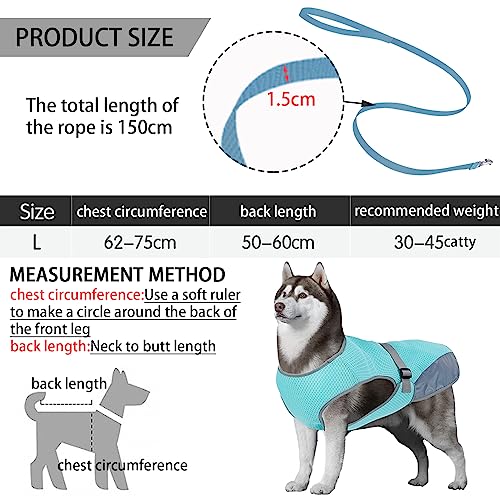 DKDDSSS Hundekühlweste, Atmungsaktiv Sommer Cooler Hundejacke, Hund Kühlweste, Cooler Komfortabler Hundemantel, für Kleine Bis Mittelgroße Hunde Aktivitäten Draußen Training (Blue, L)