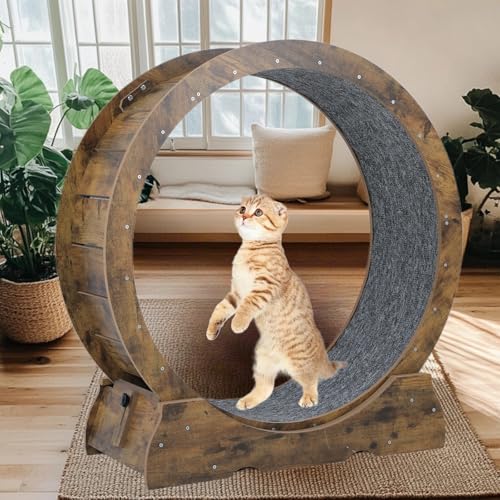Cat Exercise Running Wheel Cat Treadmill Wheels for Indoor Cats Large (Rusty Brown, Medium)