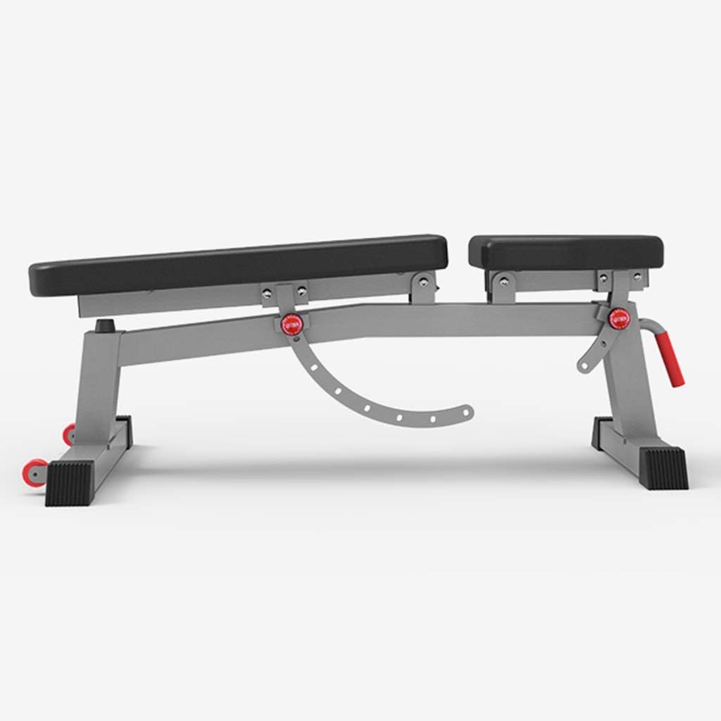 Standard Weight Benches Dumbbell Bench, Adjustable Weight Bench, Home Training Lifting Sit Up Ab Bench Weight Benches