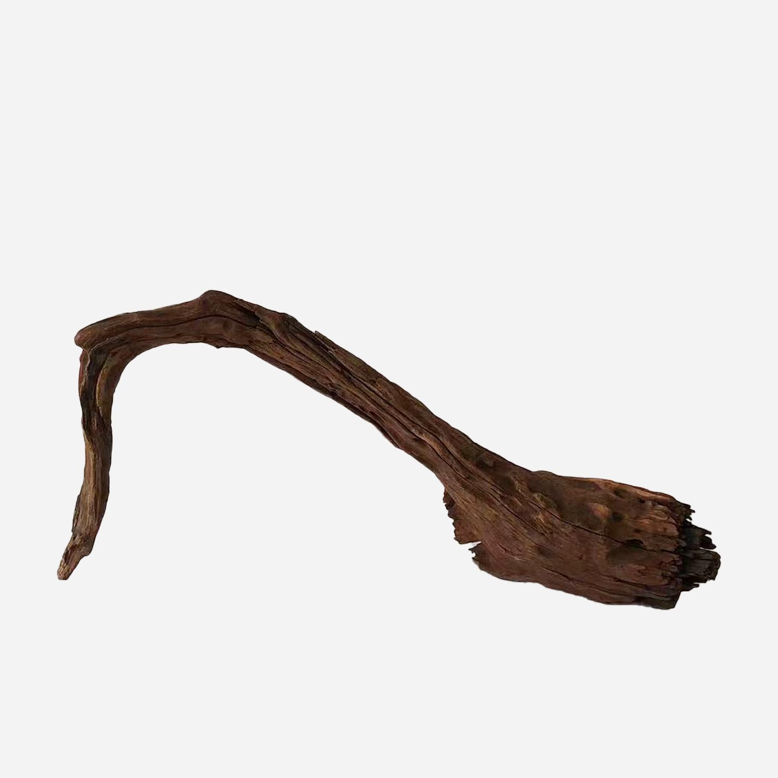 LYPHARD AQUARIUMS Natural Driftwood for Aquarium Decor, L18.9×W5.91×H9.06 Inches Large Drift Wood Decorations for Reptile Hide, Fish Tank, Optional Shapes