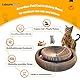 Leisuremix Magic Organ Cat Scratching Board 36cm lang, Katzenspielzeug Selbstbeschäftigung aus Pappe mit Glockenball für Katzen, Katzenzubehör Indoor