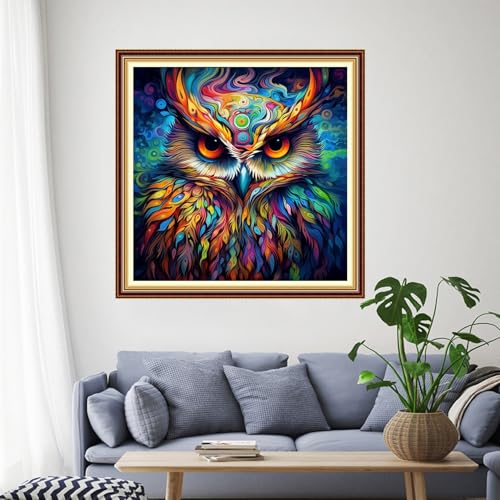 Image of Funchey Stamped Cross Stitch Kits, DIY Cross Stitch Pattern for Adults Beginners Needlepoint Kits Embroidery Kit Arts and Crafts 11CT-Magic Owl 18x18 inch
