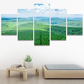 SIGNWIN 5 Panel Canvas Wall Art Modern Art...