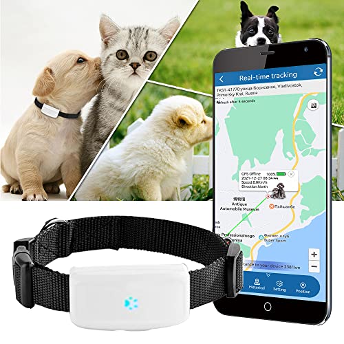 GPS für Katzen Test & Empfehlungen (07/22) PETMEISTER