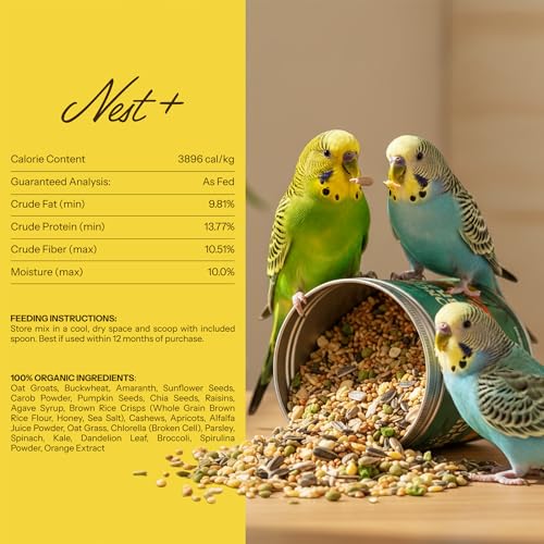 Premium Bird Seed Parakeet Food | Organic Parakeet Bird Seeds with Oat Groats, Amaranth & Super Veggies | Perfect Bird Food, Pretty Parrot & Budgie Food | Reusable Tin (1lb) - Image 4