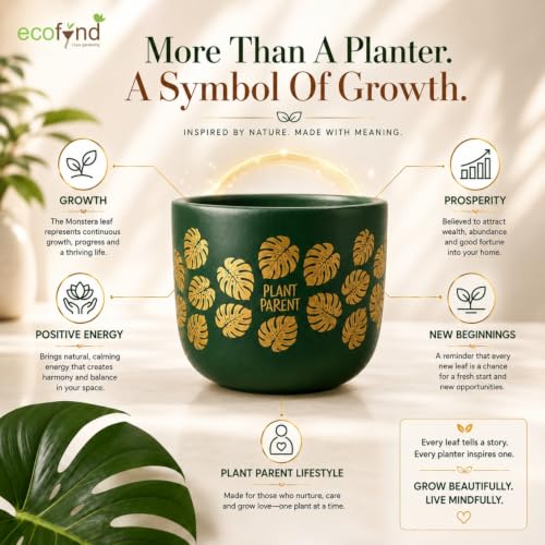 Image of ecofynd 4.5 Inch Monstera Terracotta Pot for Indoor Plant, Decorative Clay Planter for Home, Living Room, Balcony, Office & Garden, Flower Pot for Herbs & Houseplants (TPOT006-GRN)