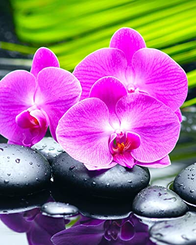 Broderie diamant orchidées roses LUMINLIFE 46x56 cm strass ronds