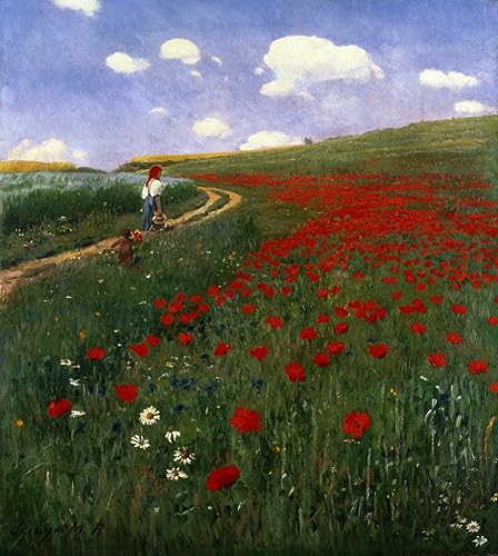 Peinture murale le champ de coquelicots affiche impression toile