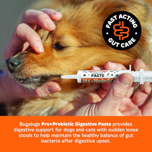 BUGALUGS Dog Probiotic Digestive Paste for Dog & Cat - Gut Health, Digestive Supplements with Fast-Acting Ingredients for Dogs & Cats (30ml) - Image 5