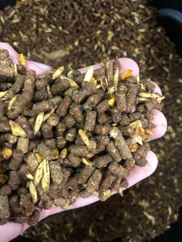 Ração Melaçada Para Cavalo 15% Proteína Trotte Mix Aveia e Milho. (3 KG)