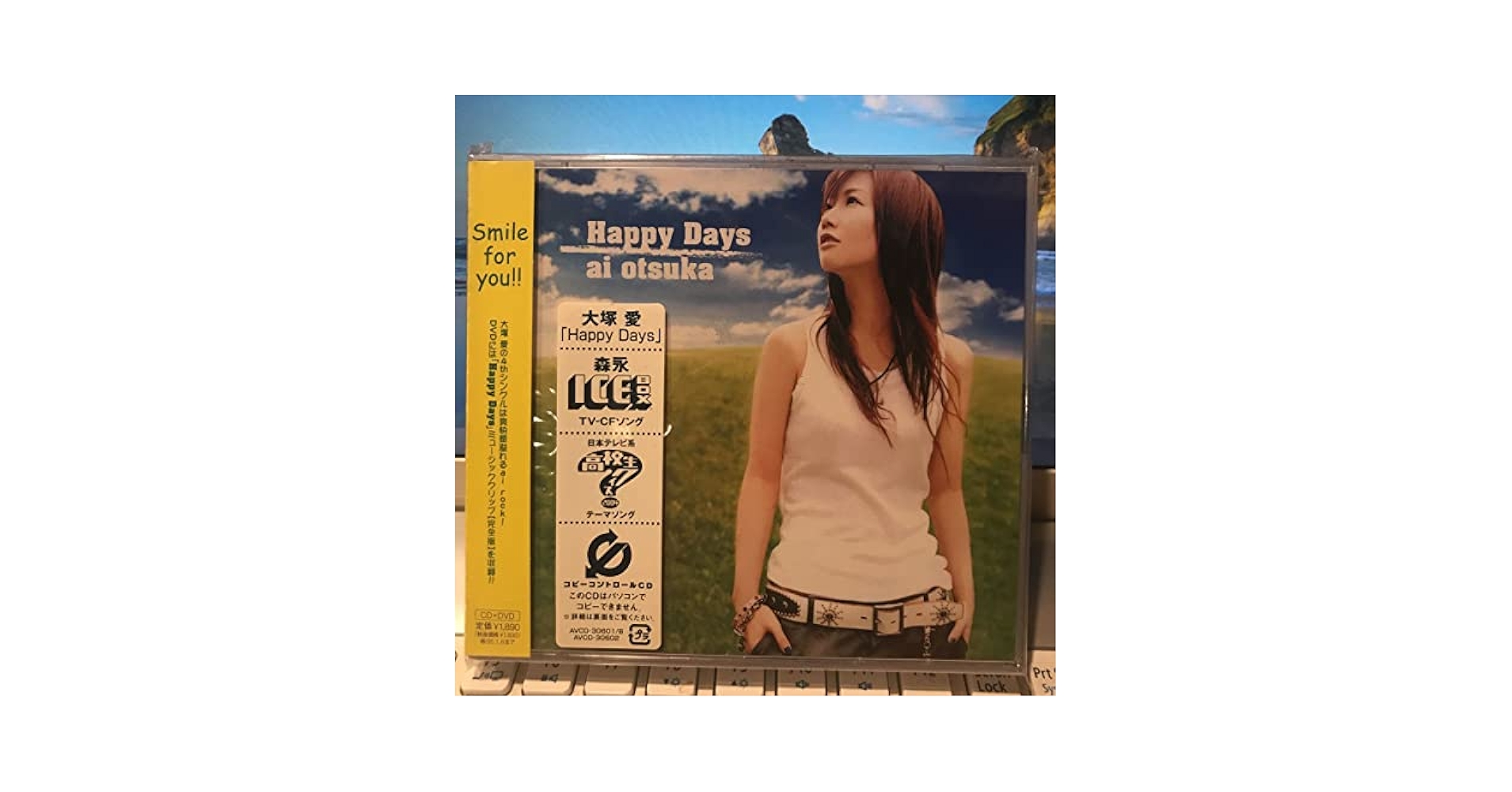 Amazon.co.jp: 大塚愛ハッピーデイズCD森永アイスボックス