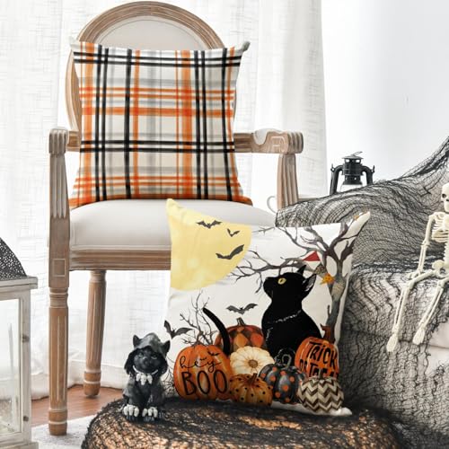 Taies d'oreiller Halloween motif citrouille chat 40x40cm 4pcs - 5