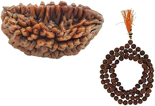 Yuvi Shoppe Original & PureNatural Ek Mukhi Rudraksha With Freebie Five Mukhi Rudraksha Mala (Fast Delivery)
