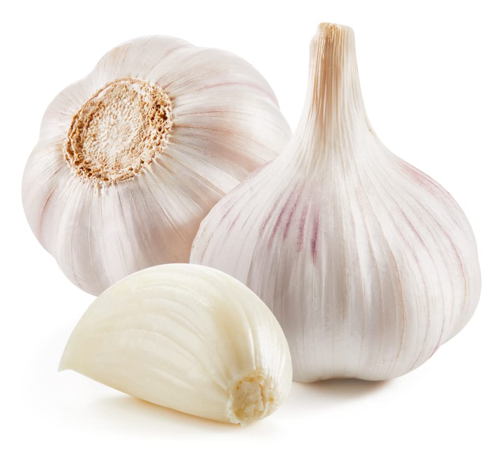 Garlic Growing Set, French Variety 'Vigor Supreme', 6 x Full Bulb Pack, Garden Plants, Garlic Bulbs, Containers, Kitchen, Garden Ready and Ready to Plant, Premium Quality Bulbs