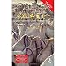 Colloquial Somali (Colloquial Series (Book Only))