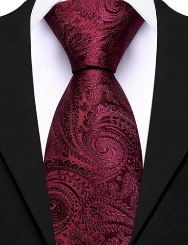 Image of Barry.Wang Paisley Tie for Men Silk Woven Necktie and Tie Clip Set Wedding Party Business Formal