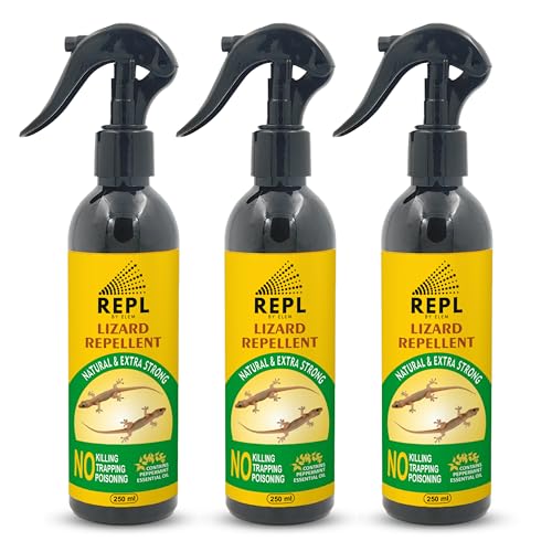 Image of Repl Lizard Repellent Spray(250ml*3) |Powerful Indoor & Outdoor Protection Up to 40 Days |Peppermint Oil Formula |Keeps Lizards Away Naturally |Safe for Kids, Pets & Family |Non-Toxic & Easy to Use