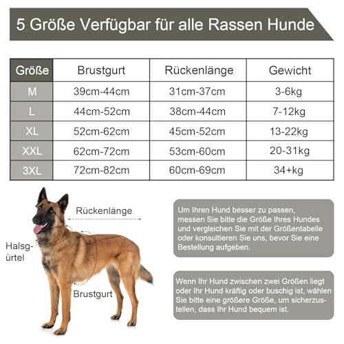 Jiupety Hundebody Nach Op, Einteiler Einstellbar Op Body Hund Kastration Hündin, Atmungsaktiv Anti-Wundlecken Body für Hund Nach Op, Weich Hundebody Nach Kastration Rüde, Blau M