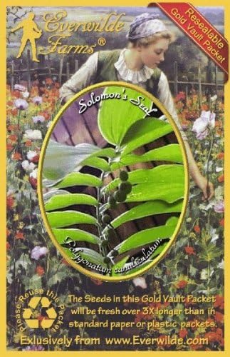 everwilde explotacionesSello de Salomón Native Wildflower semillasEl oro Vault