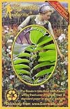 Everwilde Farms - 20 Solomon's Seal Native Wildflower Seeds - Gold Vault Seed Packet