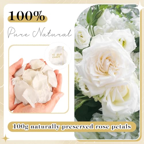 Pétalos de rosa seca natural blancos 3.53 oz 380 pcs miniatura 2