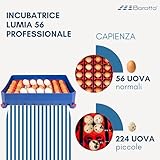 Zoom IMG-1 borotto lumia 56 incubatrice per Zoom IMG-1 borotto lumia 56 incubatrice per