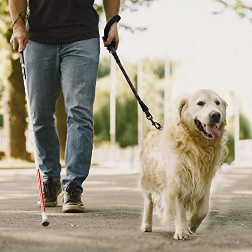 VIVAGLORY Hundeleine Kurz Closerok Kurzführer Hund, Hundeleine Leine mit Gepolstertem Griff & Schlaufe für Joggingleine Hausleine, Kurzführer & Kurzleine für Hunde, 61cm, Schwarz