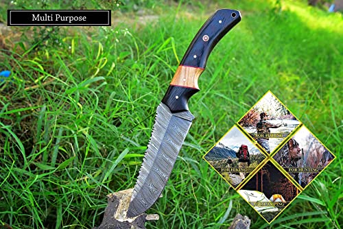 Handmade Damascus Steel Knife Hunting Fixed Blade Knife For Camping, Survival And Outdoor Activities 10 Inches Overall Length With Leather Sheath, Olive & Wenge Wood Handle 348-Y #TOP3