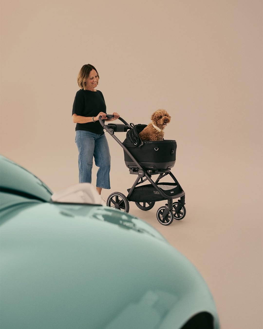 Amazon.co.jp: TAVO ペットカート＆カーシート Maeve Iso 6X＋Roscoe