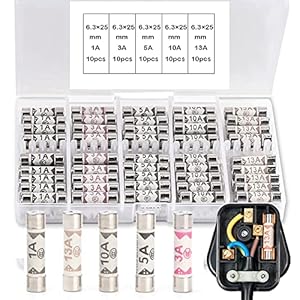 100PCS Ceramic Tube Fuses Household Set with 1A 3A 5A 10A 13A Amp 240 Volt Fuses Assorted Suitable for UK Domestic…