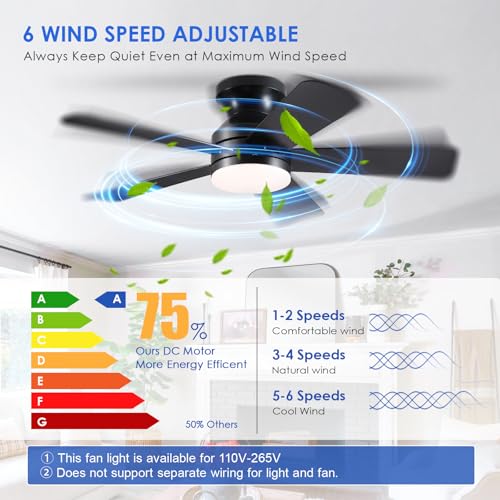 Catálogo de Ventiladores de techo más recomendados. 27 Imagen adicional