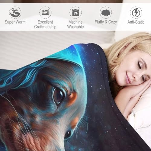 Couverture Dachshund Chien plaid canapé lit douillet