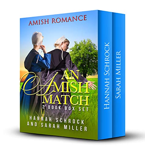 An Amish Match