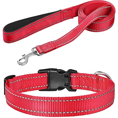 FunTags Dog Leash Bundle with 3/4"x 10"-16" Dog Collar,6FT Reflective Nylon Dog Leashes with Nylon Dog Collar for Small Dogs,RED Cover