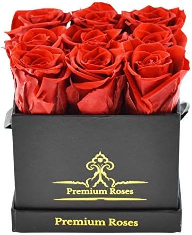 Premium Roses | Model Posh | Real Roses That Last 365 Days | Roses in a Box| Fresh Flowers (Black Box, Small)