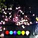 Produktbild LED Globelichterkette mit Farbwechsel für Innen u. Außen 40 RGB Dioden