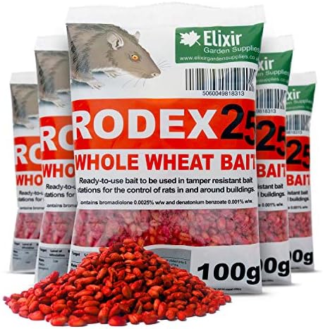 Rodex25 Whole Wheat