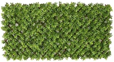 LOLAhome Celosía Extensible con seto Artificial Premium Boj de 1,...