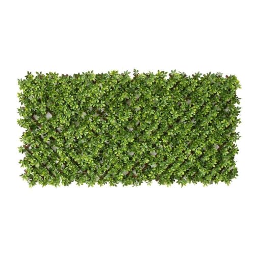 LOLAhome Celosía Extensible con seto Artificial Premium Boj de 1,8x0,9 m | Realista y Natural, Alta Ocultación, Tratamiento UV, No inflamable, Transpirable | para Jardín, Balcón, Terraza o Piscina