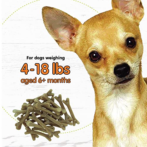 NATURALS Super Breath Dental Care Bones for Dogs – 21 Treats/Pack (3 Pack) – Dog Dental Treats for Small Dogs, Made in USA, Dog Dental Chews Help Reduce Plaque, Tartar Buildup & Freshens Breath NATURALS Super Breath Dental Care Bones for Dogs – 21 Treats/Pack (3 Pack) – Dog Dental Treats for Small Dogs, Made in USA, Dog Dental Chews Help Reduce Plaque, Tartar Buildup & Freshens Breath