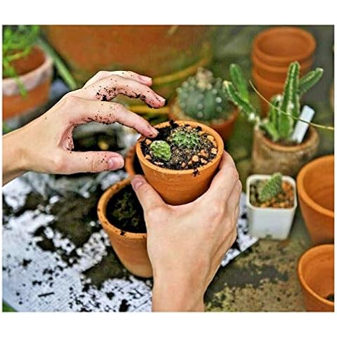 Mokuzai PureGrow® Cactus & Succulent Soil - 5 Litres Pure Peat Free Cactus Potting Compost - Hydrate at Home Cover