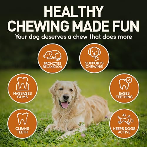 Wildfang® Leder Kauknochen Hund, Größe S – zahnpflege Hund, Hundespielzeug, kauspielzeug & kauknochen Welpen – für leichte bis mittlere Kauer (unter 1 kg), 1 Stück