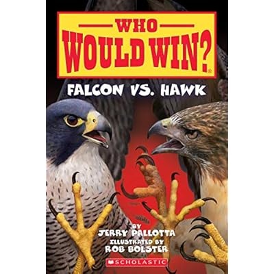 Falcon Vs. Hawk