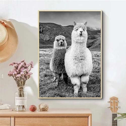 Impression sur toile alpaga noir et blanc cadre tableau mural 30x50 cm - 3