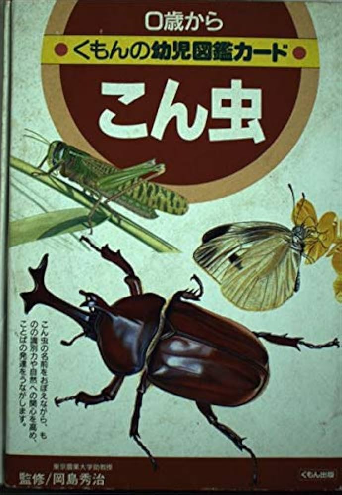 くもん 写真図鑑カード こん虫、野鳥 くもん 写真図鑑カード こん虫、野鳥